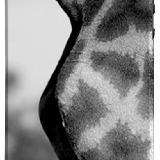 Case-Mate - BarelyThere iPhone 5/5s/SE NG Prints (AP2-giraf)