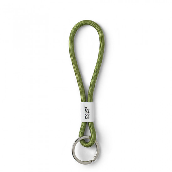 Copenhagen D - Porta Chaves S PANTONE (greenery 15-0343) Copenhagen D - Porta Chaves S PANTONE (greenery 15-0343)