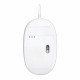 Macally - Rato USB-C optical with 5 buttons Macally - Rato USB-C optical with 5 buttons