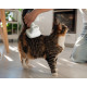 Lifenaxx - Cuidado animal Pet Care Set LX-052
