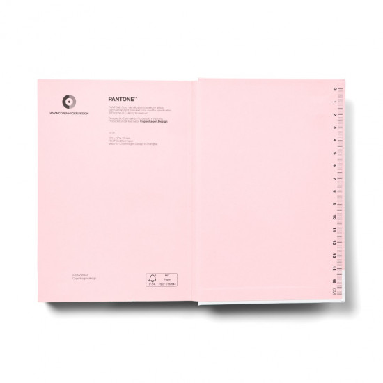 Copenhagen D - Caderno S dotted PANTONE (light pink 13-2006) Copenhagen D - Caderno S dotted PANTONE (light pink 13-2006)